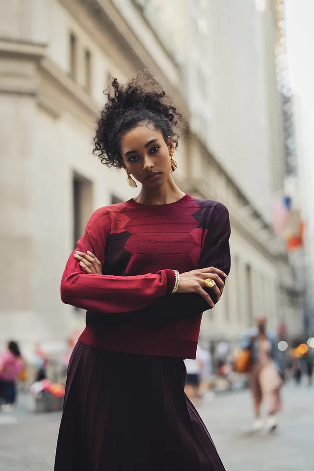 Aleeza Paris Iris Sweater