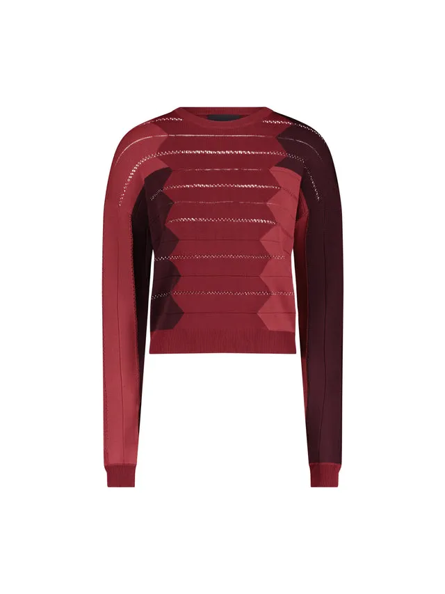Aleeza Paris Iris Sweater