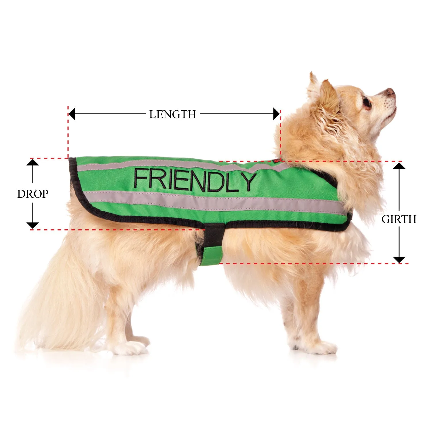 FRIENDLY - Small Coat