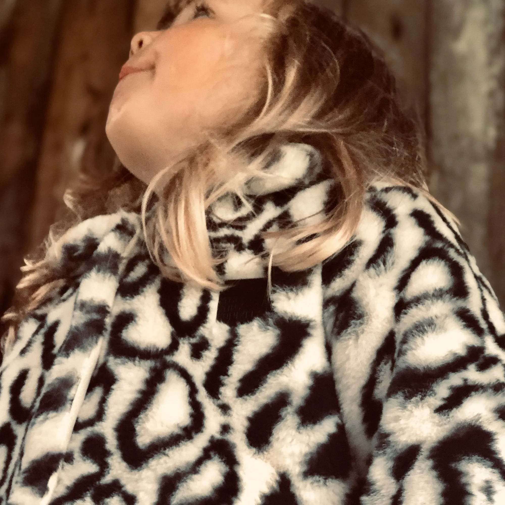 The Tiny Fur Coat
